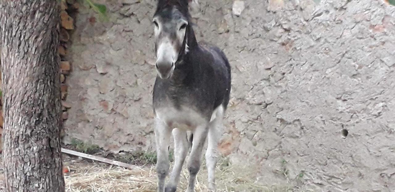 Casa Rural Entresierras Beires Екстер'єр фото